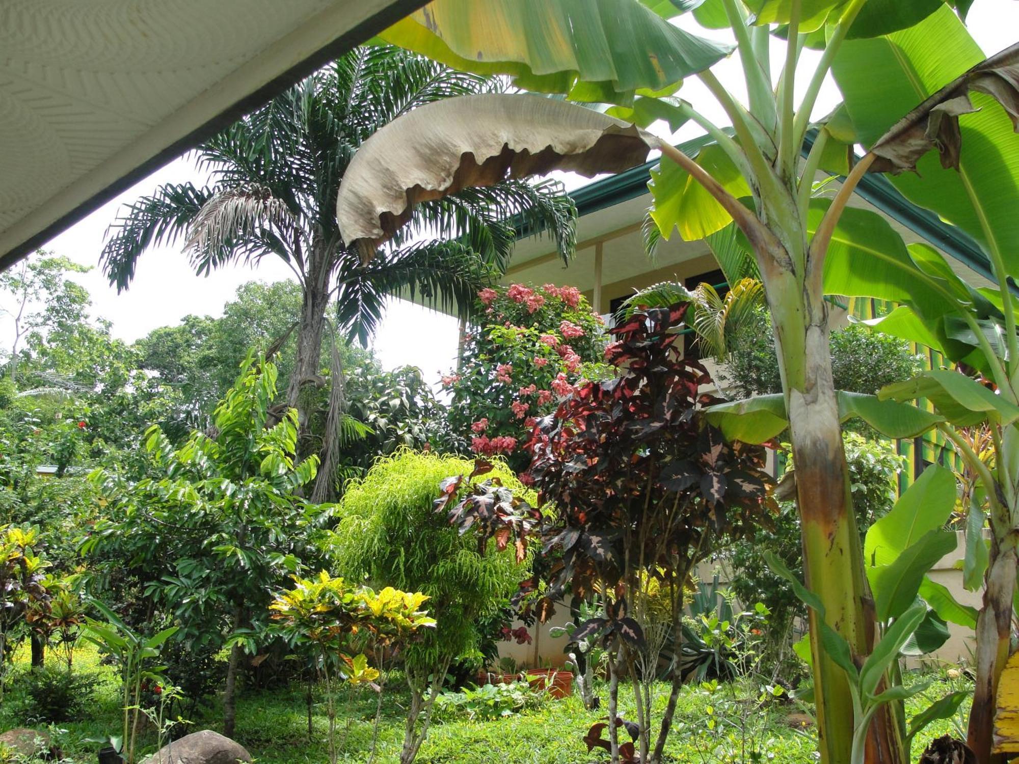 Hotel Big Bamboo De Uvita Exteriér fotografie