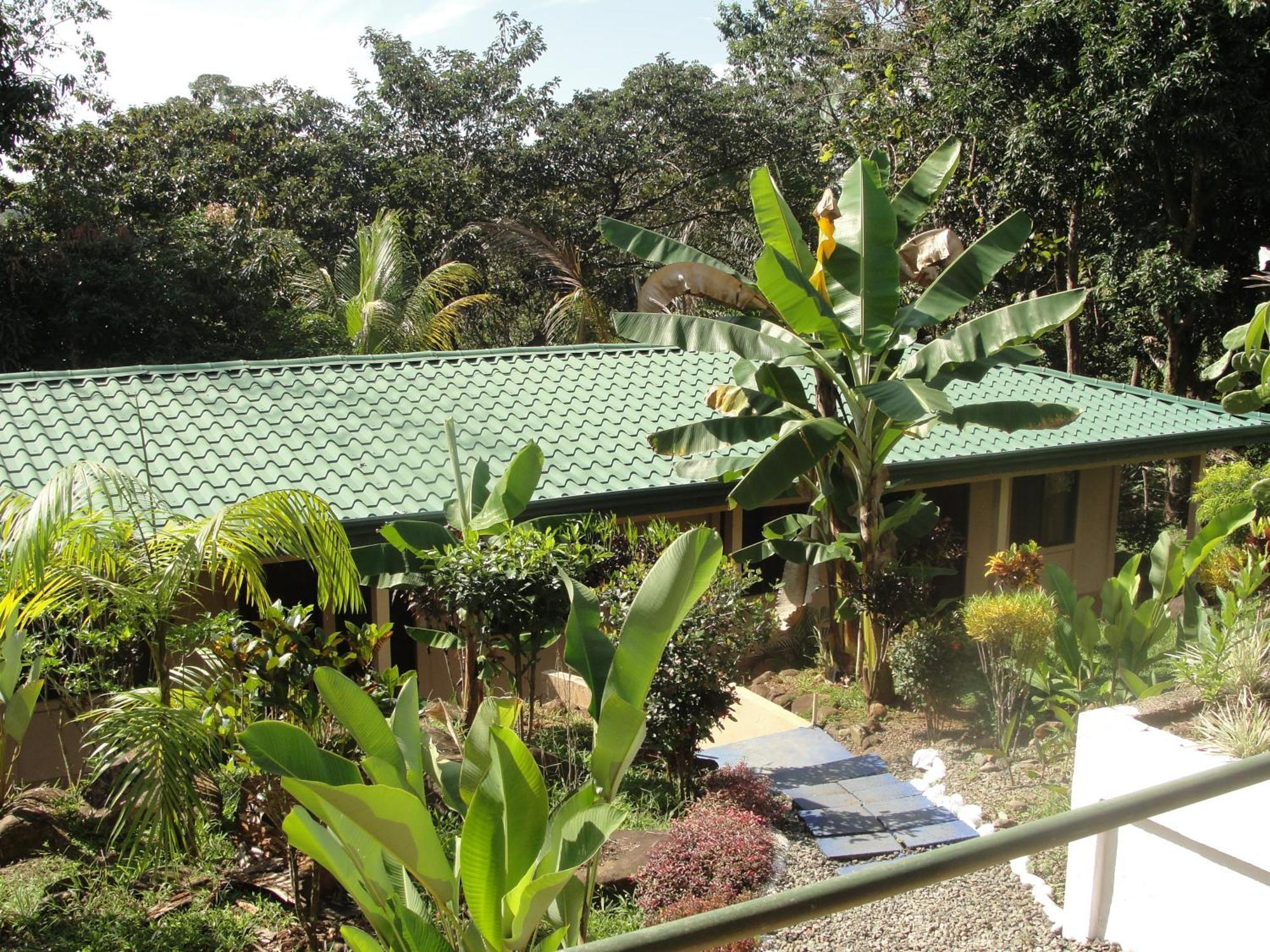 Hotel Big Bamboo De Uvita Exteriér fotografie