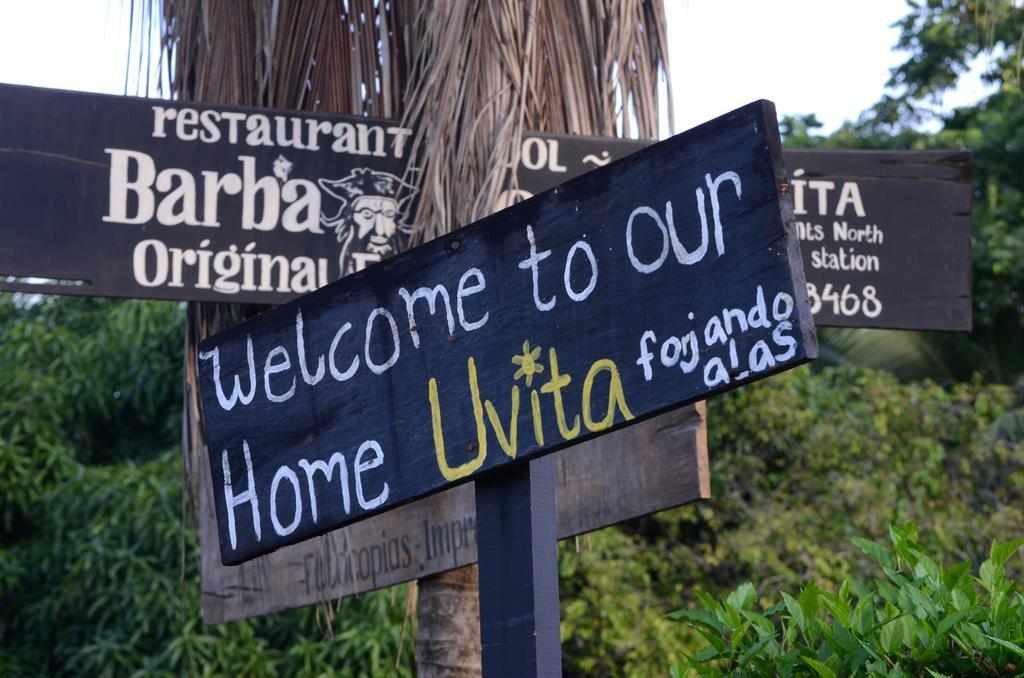 Hotel Big Bamboo De Uvita Exteriér fotografie